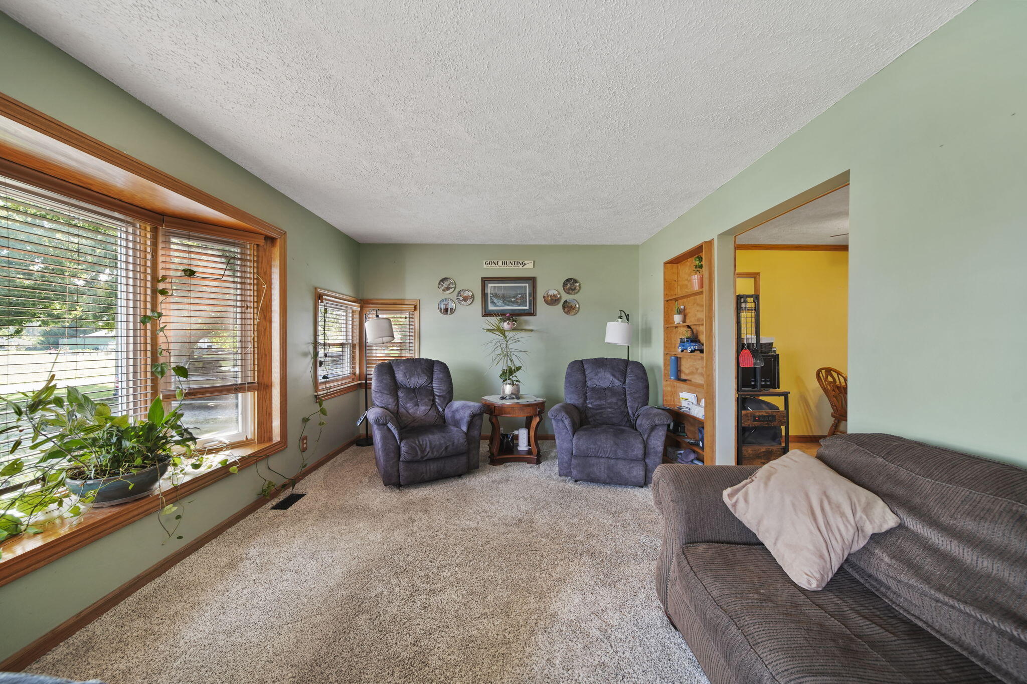 10151 Townsend Road Maybee, MI 48159 - Photo 10 of 75 3-web-or-mls-DSC08496