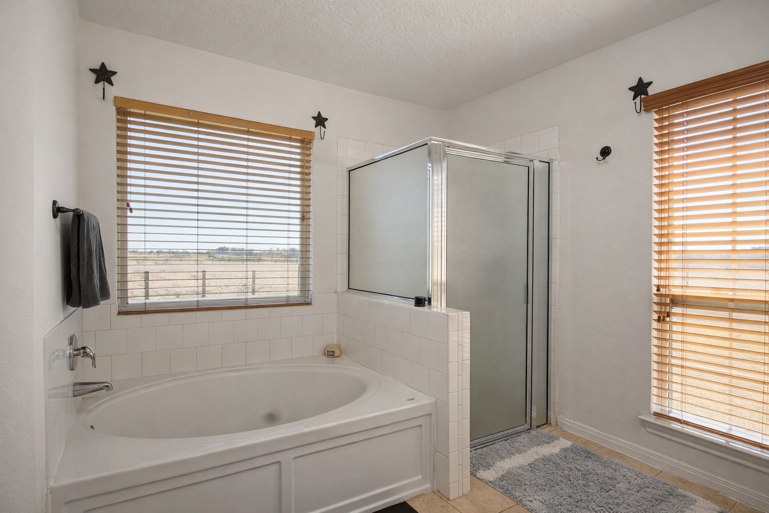 9439 Jeske Road Needville, TX 77461 - Photo 25 of 48 a bathroom with a bathtub and a window
