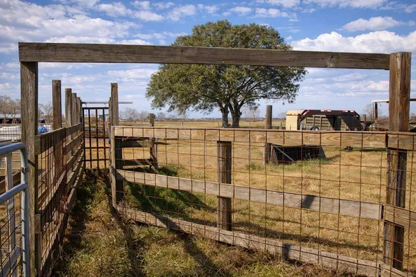 $984,900 | 9439 Jeske Road, Needville, TX 77461