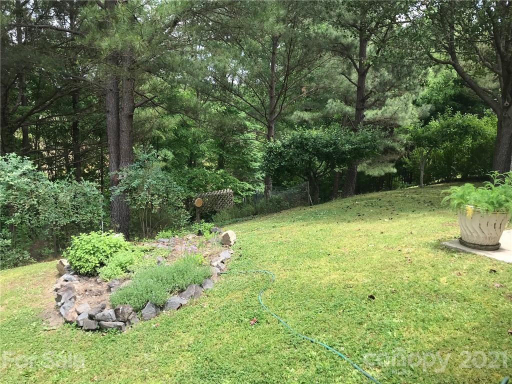 144 Amber Woods Drive Tega Cay, SC 29708 - Photo 3 of 37 a view of backyard with green space