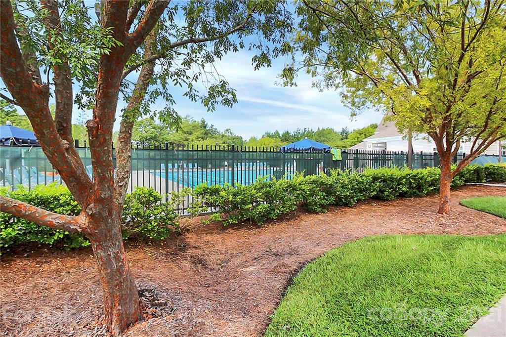 144 Amber Woods Drive Tega Cay, SC 29708 - Photo 26 of 37 a view of a garden with a tree