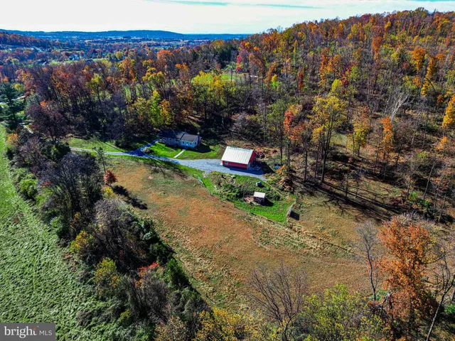 a view of a park with large trees