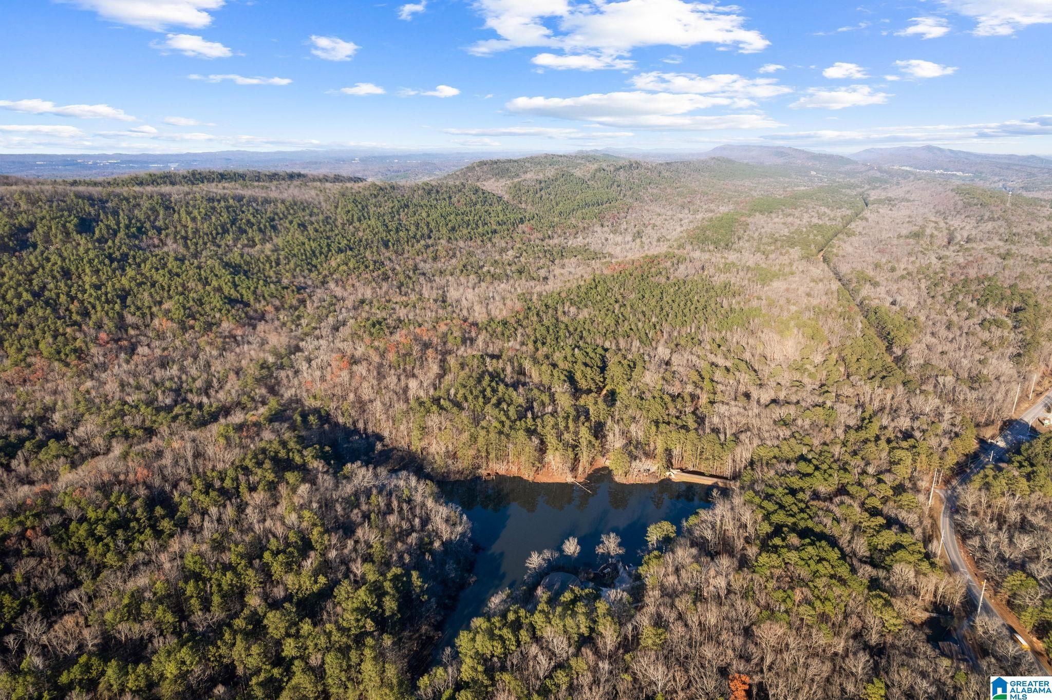 654 Belcher Road Chelsea, AL 35043 - Photo 4 of 99