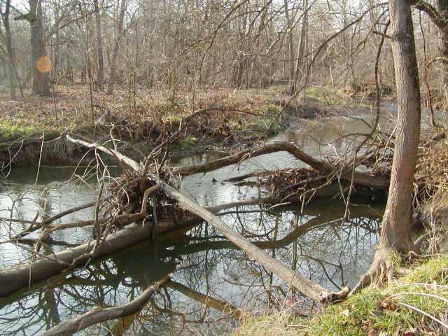 0 Bennington Chapel Road Utica, OH 43080 - Photo 2 of 4