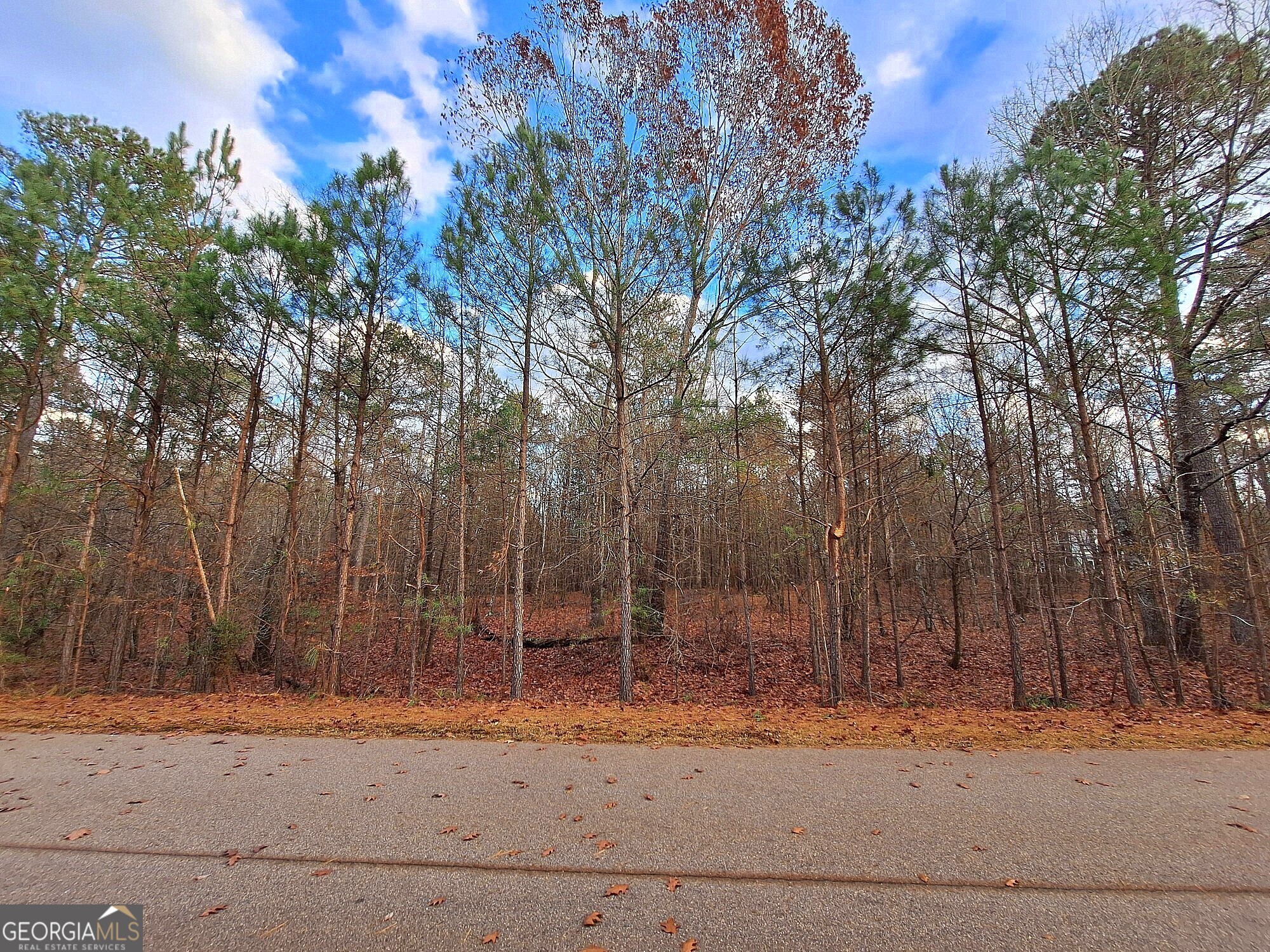 1500 Riverwalk Road Bishop, GA 30621 - Photo 1 of 1