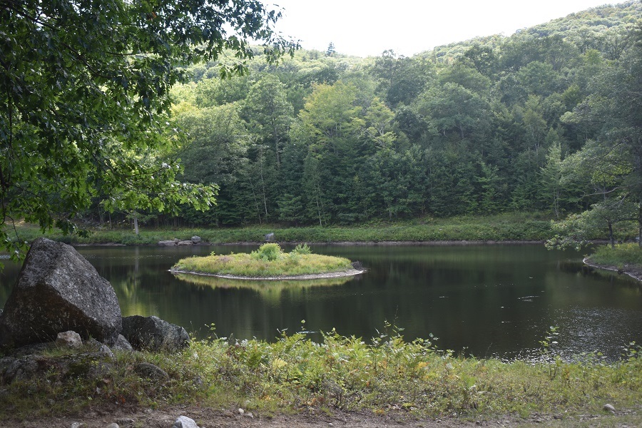 345 Deer Valley Road Bradford, NH 03221 - Photo 8 of 14