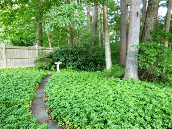 41 Skelton Road Burlington, MA 01803 - Photo 21 of 24 Gallery Image 21