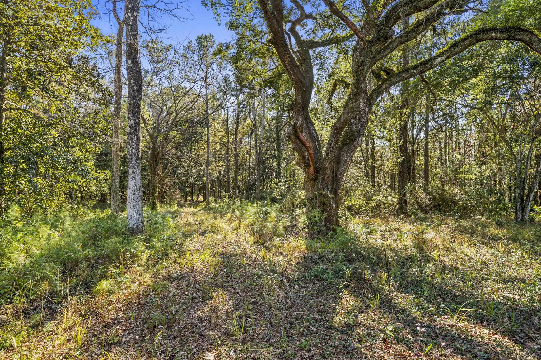 0 Main Street Fairhope, AL 36532 - Photo 8 of 27