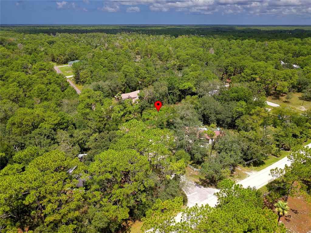 9041 Helene Way Weeki Wachee, FL 34613 - Photo 12 of 15 Gallery Image 12