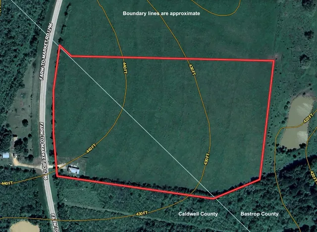 a green field with lots of trees in the background