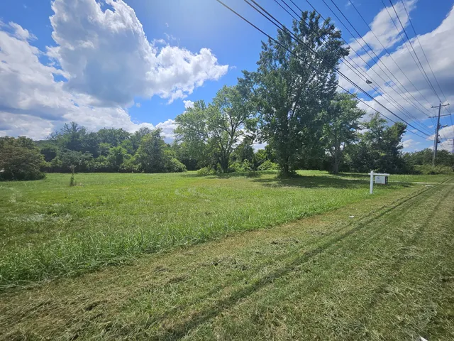 a view of a field with grass and a tree