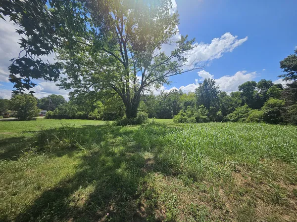 a view of a green field with wooden fence