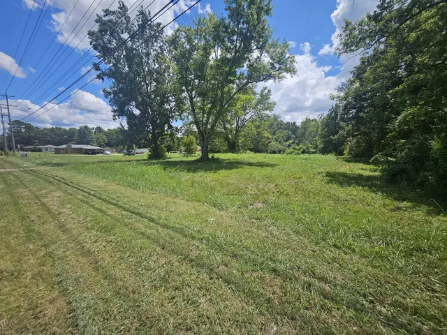 a view of a field with of trees