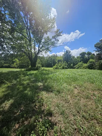 a view of a big yard with plants and large trees