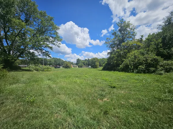 a view of a green field with lots of bushes