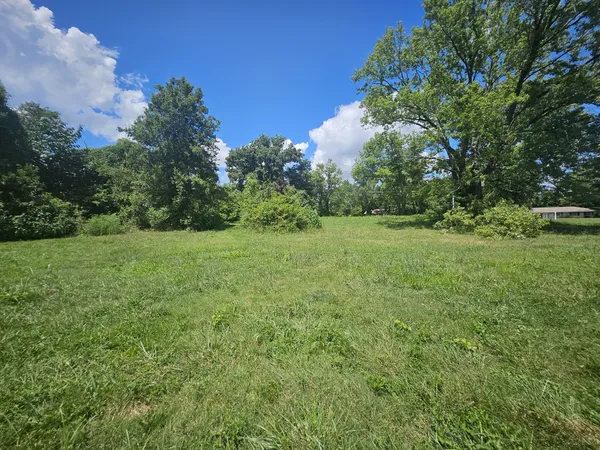 a view of a grassy field with trees in the background