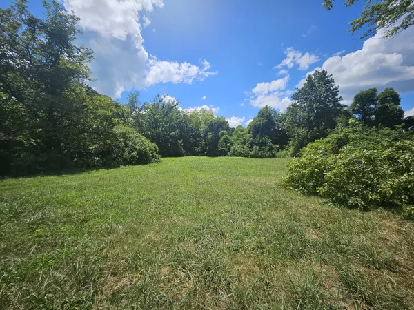 a view of a grassy field with trees in the background