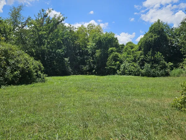 a view of green field with trees in the background