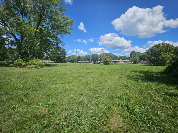 a view of a big yard with plants and large trees