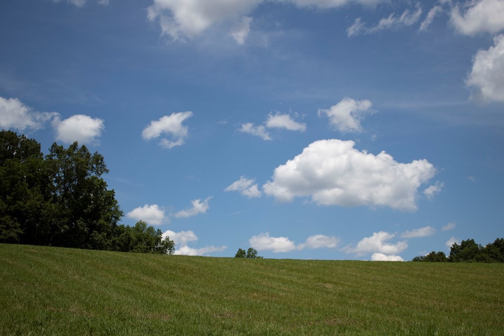 0 Frank Sims Road Sparta, TN 38583 - Photo 14 of 34 Gallery Image 14