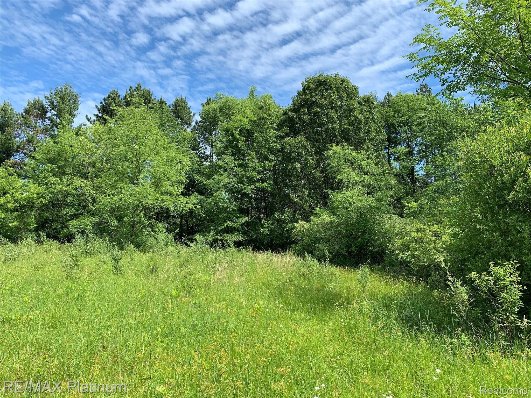 3919 Brophy Road Howell, MI 48855 - Photo 36 of 50 IMG_1572.JPG