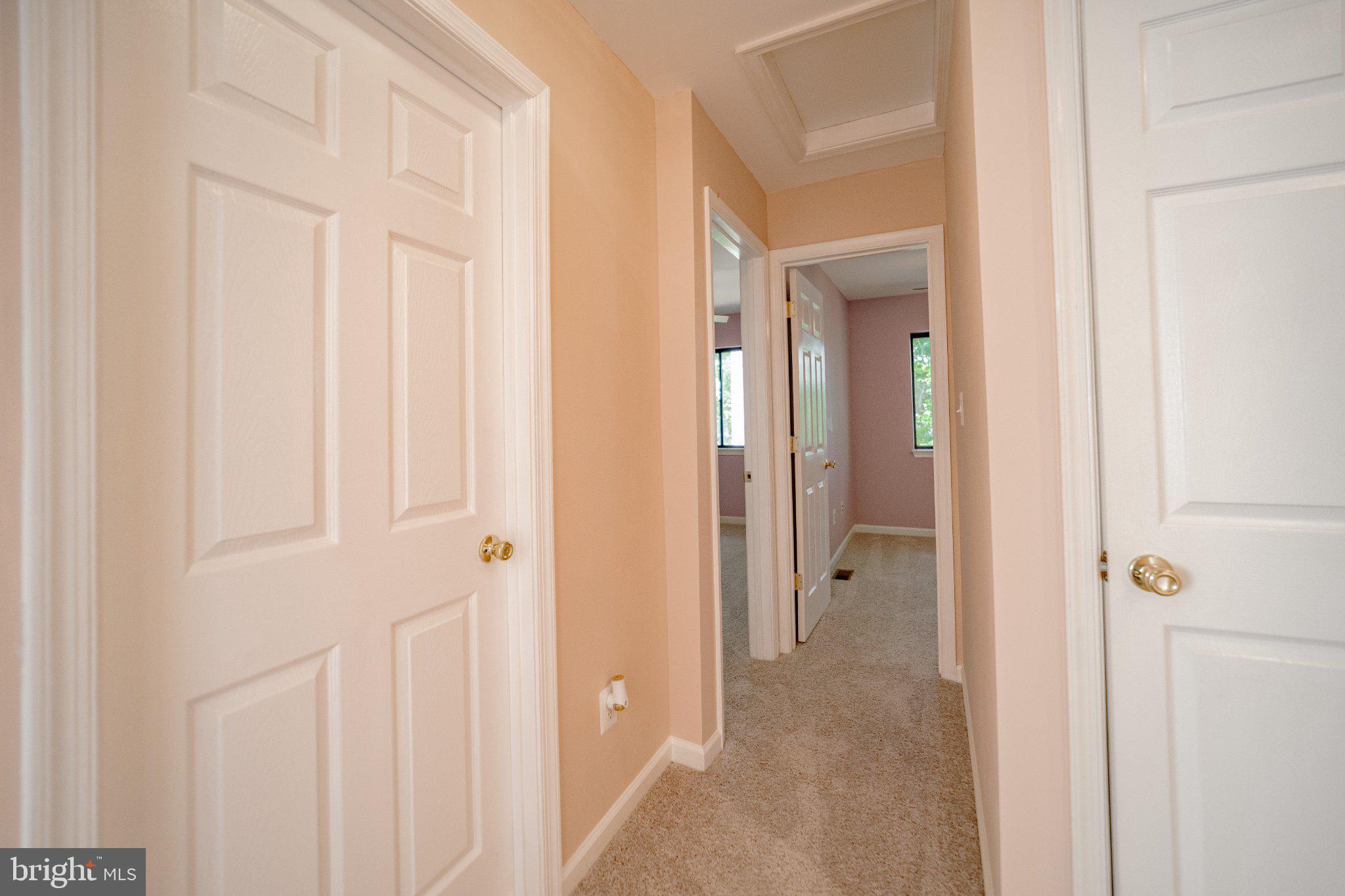 2205 Southgate Square, Unit 2205 Reston, VA 20191 - Photo 13 of 26 Inviting hallway with soft hues.