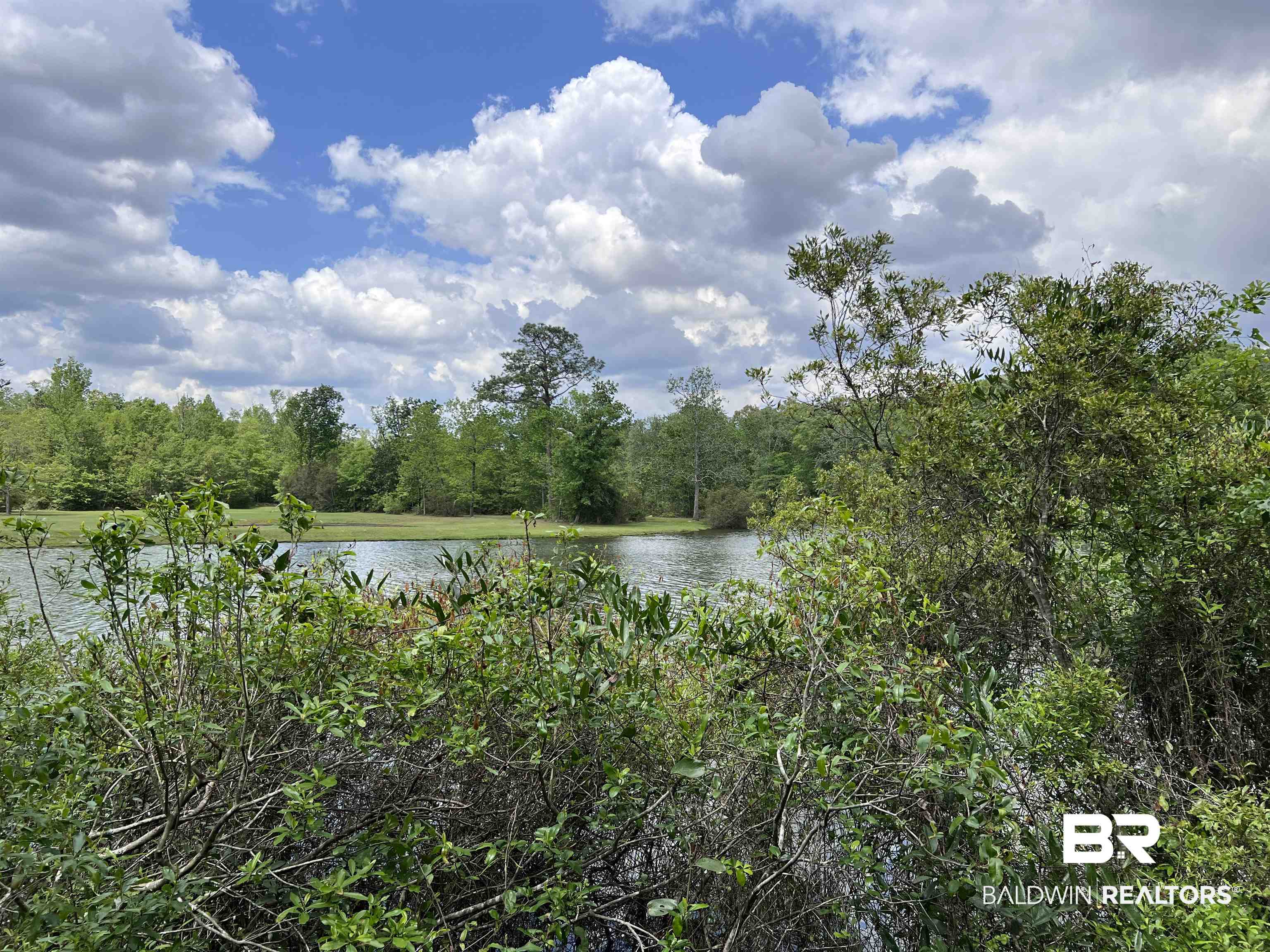 5100 Wiggins Lake Road Walnut Hill, FL 32568 - Photo 23 of 41