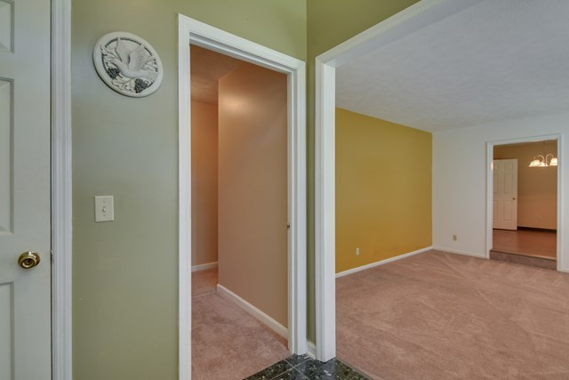 211 Longmeadow Road North Augusta, SC 29860 - Photo 8 of 43 Gallery Image 8