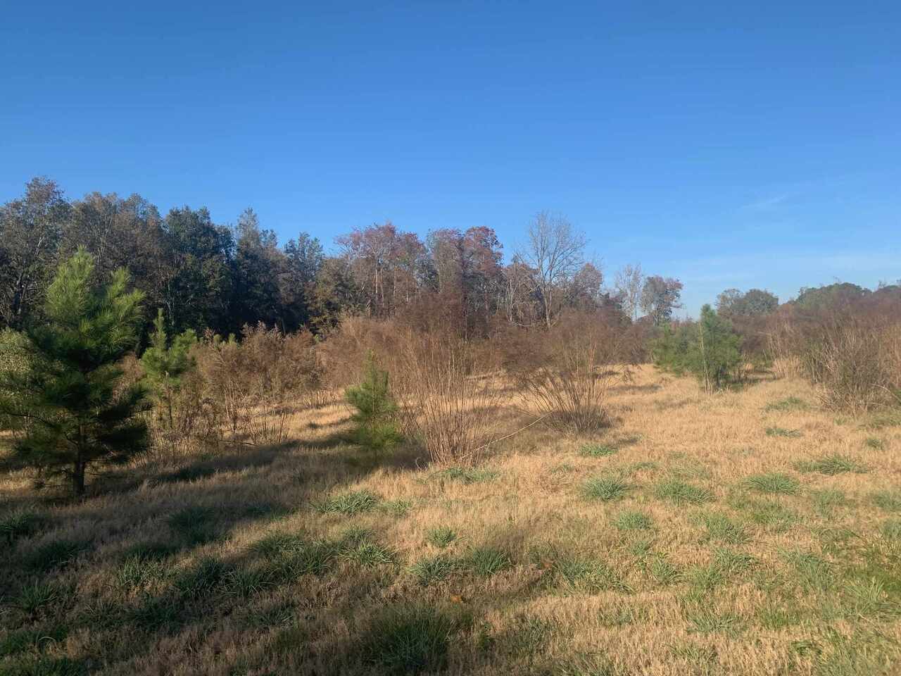0 Lindy Road Fitzgerald, GA 31750 - Photo 1 of 1 Gallery Image 1