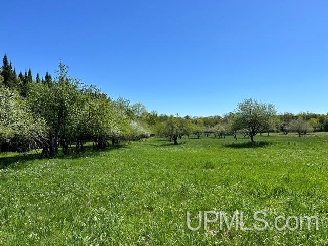 Tbd Tbd Bellaire Road Baraga, MI 49908 - Photo 44 of 49