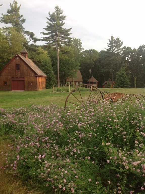 24 Whitney Road Shirley, MA 01464 - Photo 34 of 42 a view of a back yard