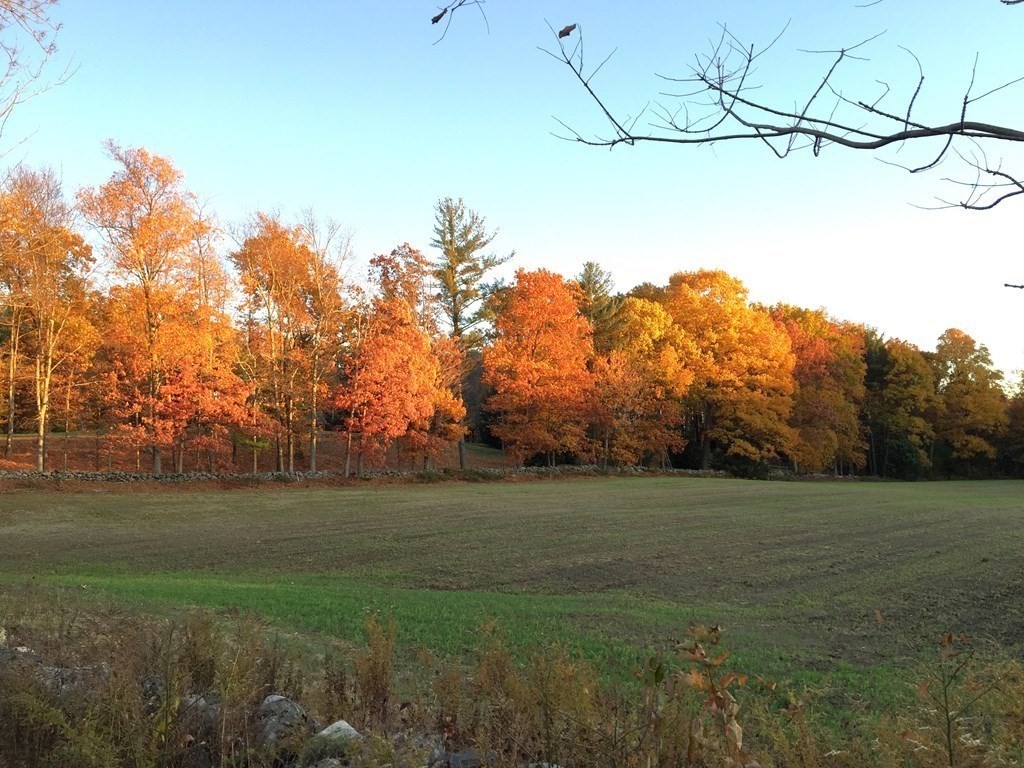 24 Whitney Road Shirley, MA 01464 - Photo 35 of 42 a view of a field of grass and trees