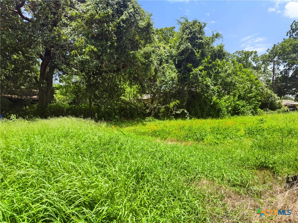 203 Trinity Street Hearne, TX 77859 - Photo 2 of 9