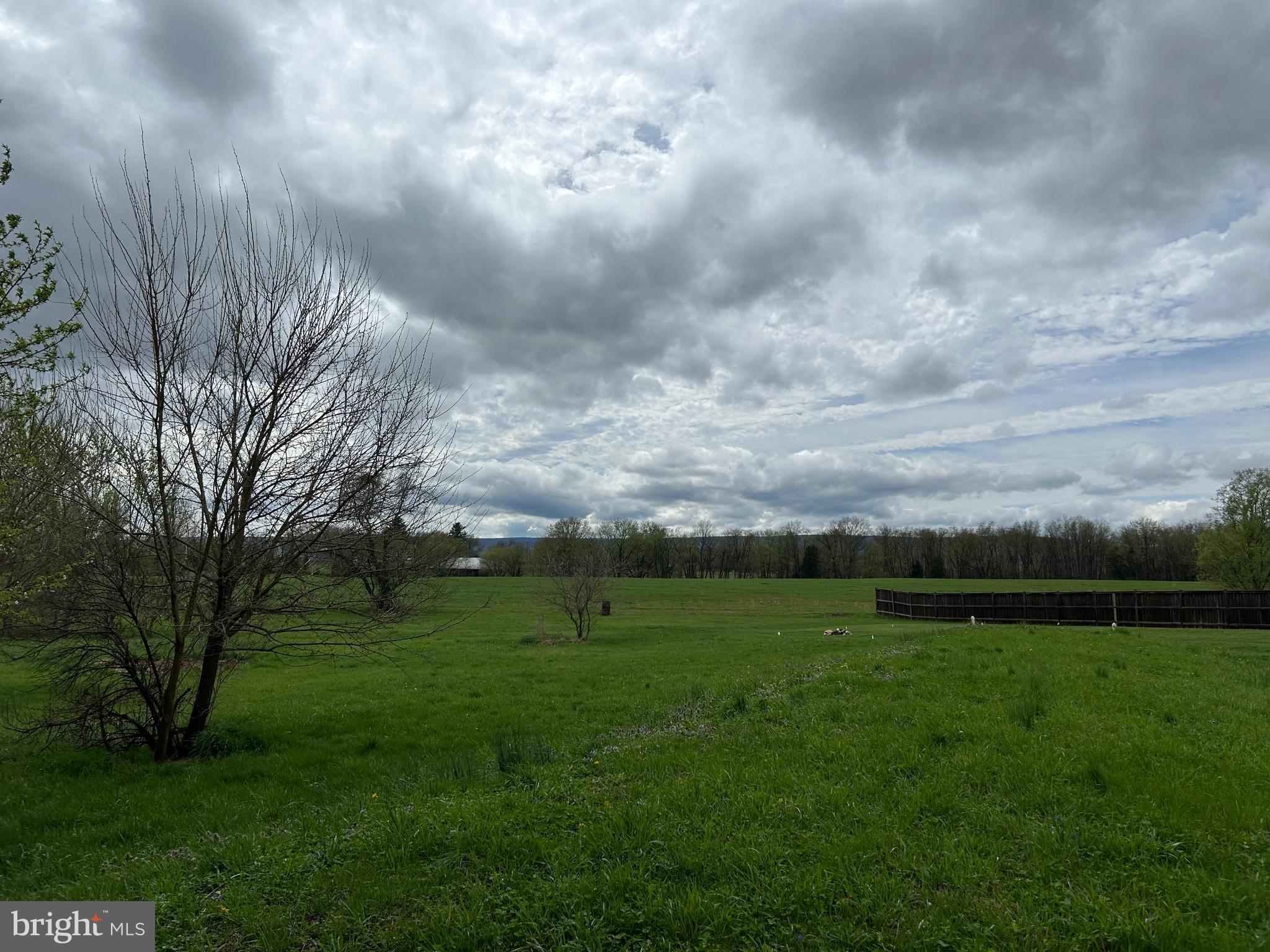 12632 Creagerstown Road Thurmont, MD 21788 - Photo 4 of 18 large rear yard