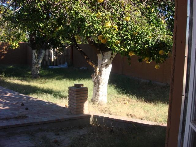 820 East Ocotillo Road Phoenix, AZ 85014 - Photo 7 of 7 Backyard