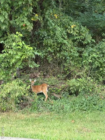 $26,000 | 58-60 East 9th, Hermann, MO 65041