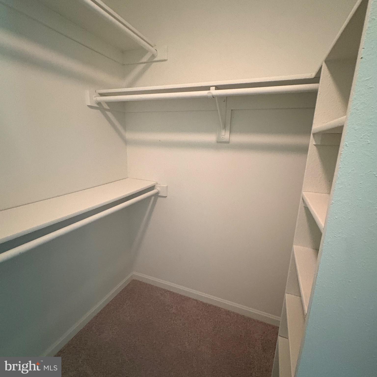 3502 Holly Road Annandale, VA 22003 - Photo 49 of 57 a view of an empty walk in closet