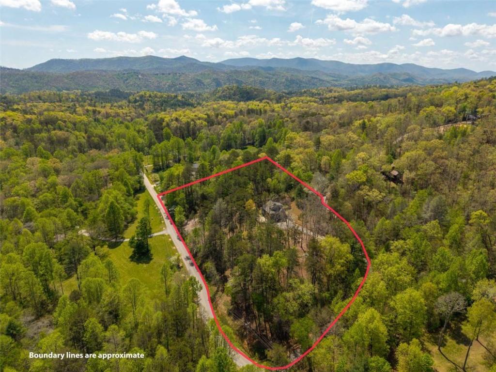 61 Overlook Road Blue Ridge, GA 30513 - Photo 48 of 58