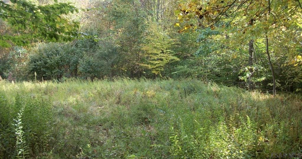 Moonshine Holler Road Boswell, PA 15531 - Photo 13 of 20 Gallery Image 13