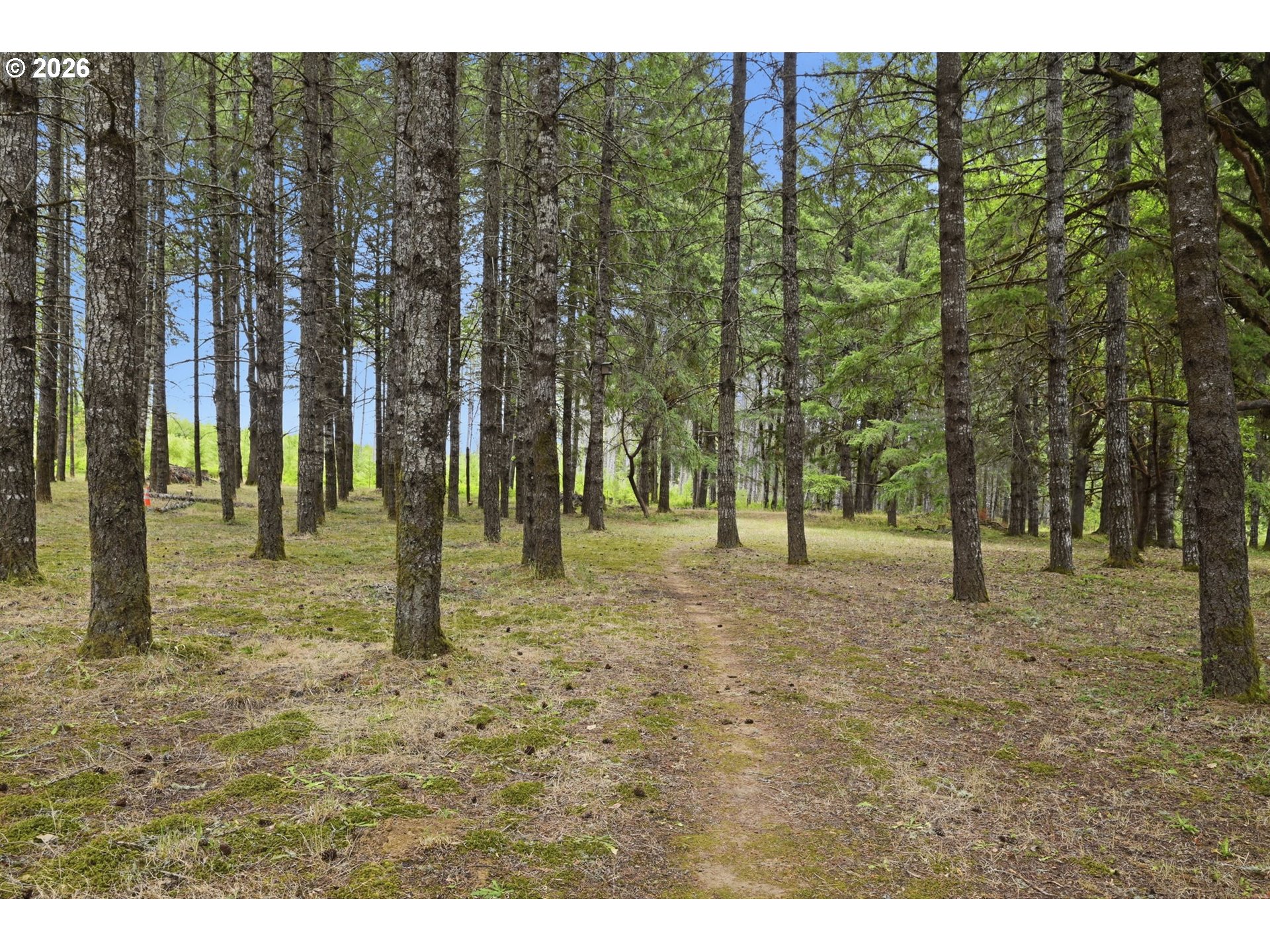 24137 Warthen Road Elmira, OR 97437 - Photo 36 of 46 Gallery Image 36