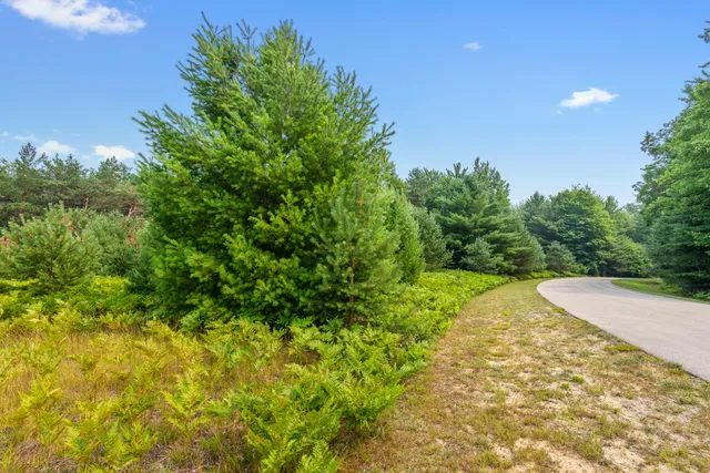 $29,900 | 323 Blue Heron Drive, Kalkaska, MI 49646