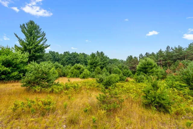 $29,900 | 323 Blue Heron Drive, Kalkaska, MI 49646