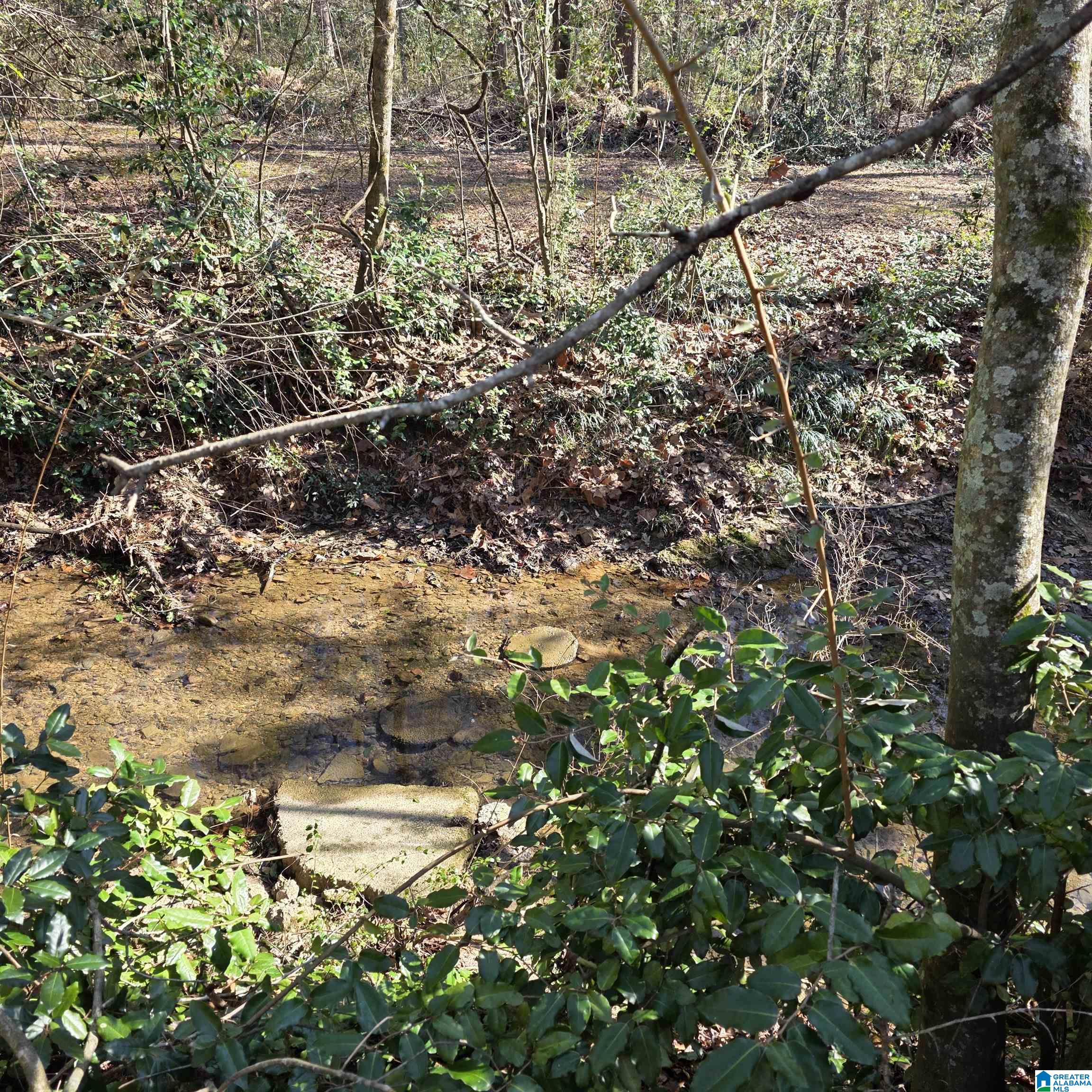 4331 Little River Road, Unit 4331 Birmingham, AL 35213 - Photo 60 of 61