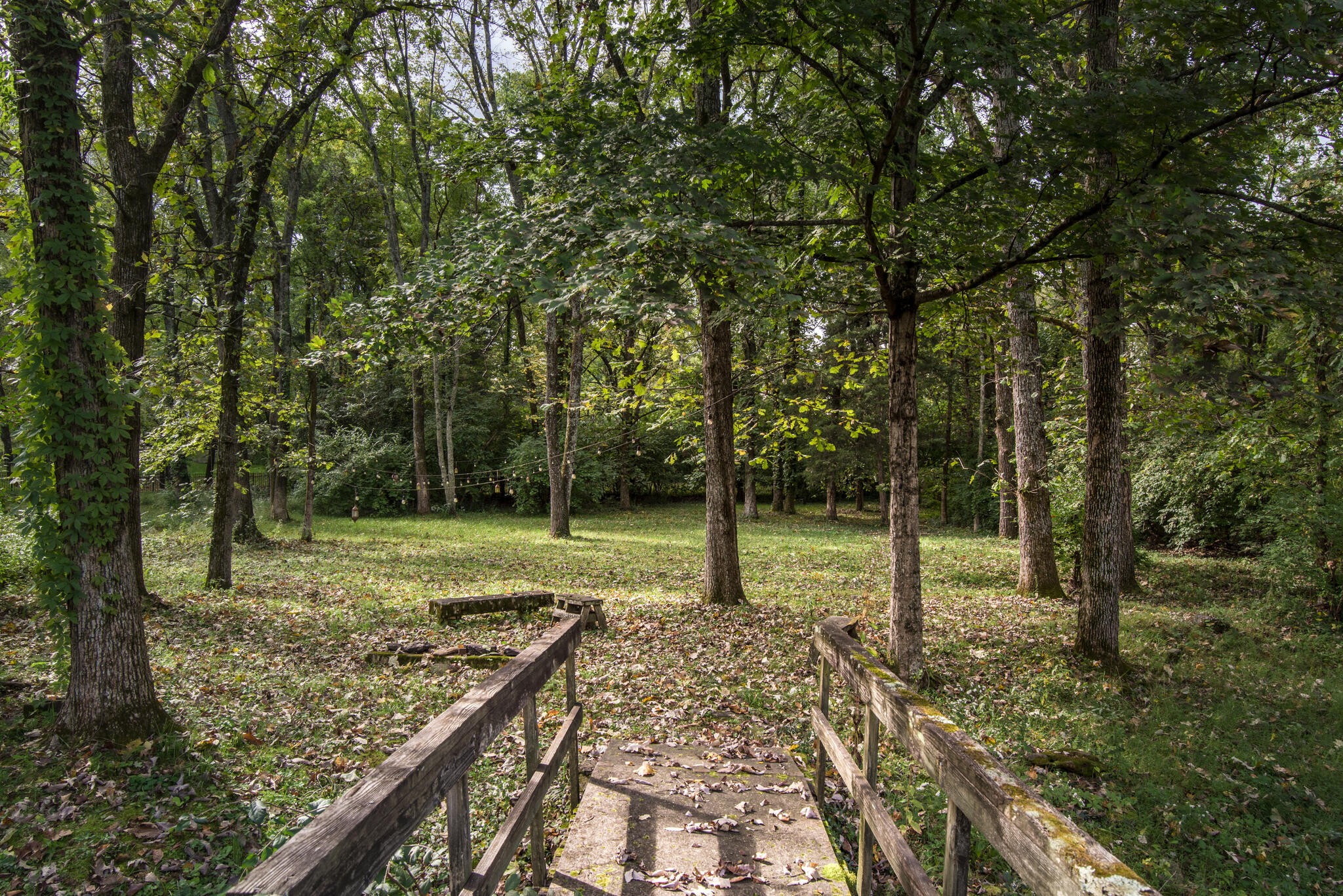 3815 Trimble Road Nashville, TN 37215 - Photo 27 of 31 a view of a yard with a tree