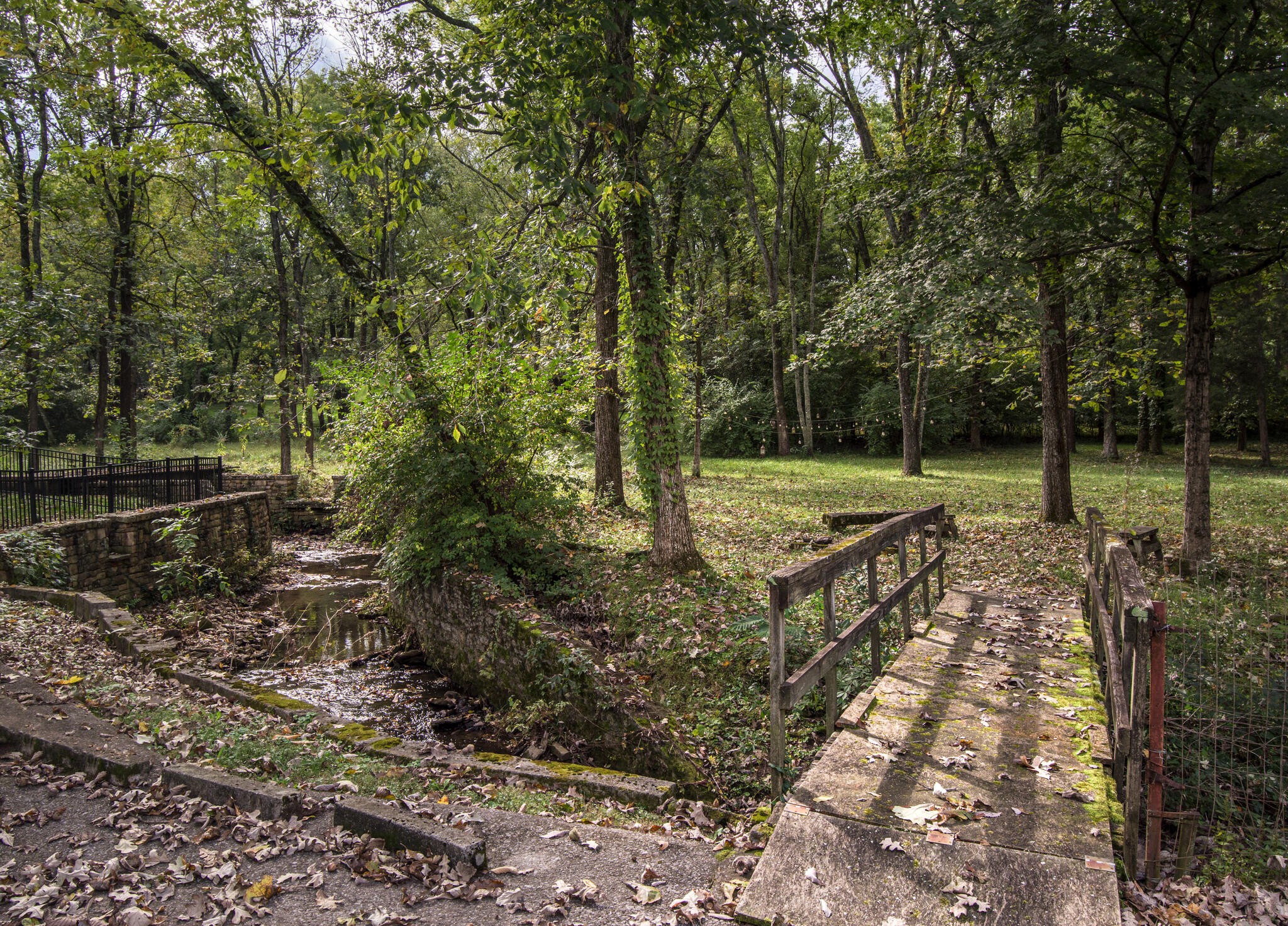 3815 Trimble Road Nashville, TN 37215 - Photo 28 of 31 a view of a park with large trees