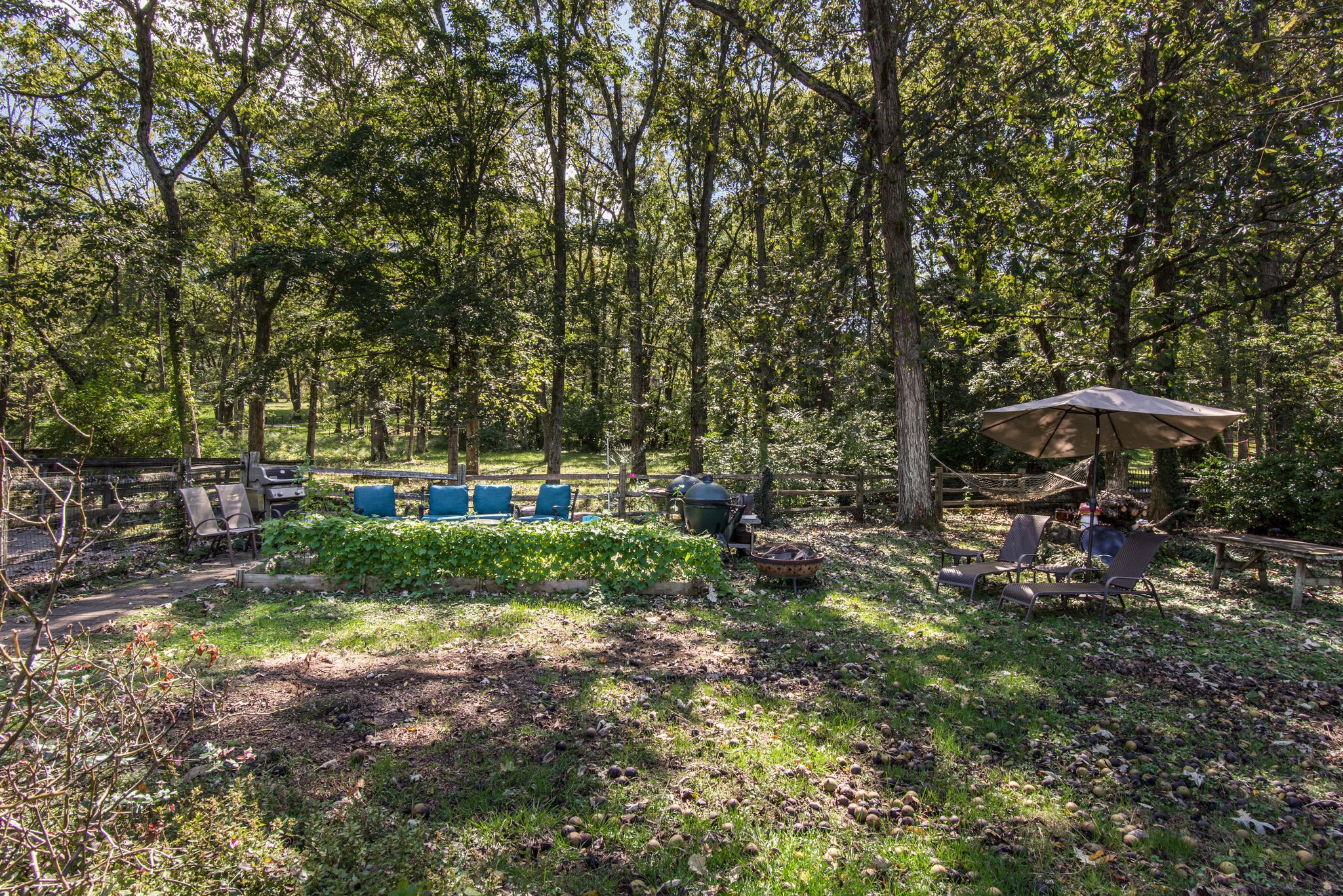 3815 Trimble Road Nashville, TN 37215 - Photo 29 of 31 a view of backyard with green space