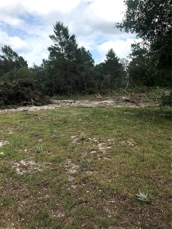 0 80 80 Foot Road Bartow, FL 33830 - Photo 5 of 6