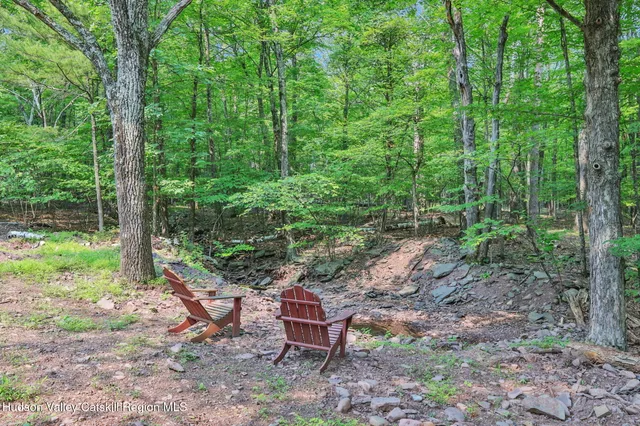 a view of a backyard with plants