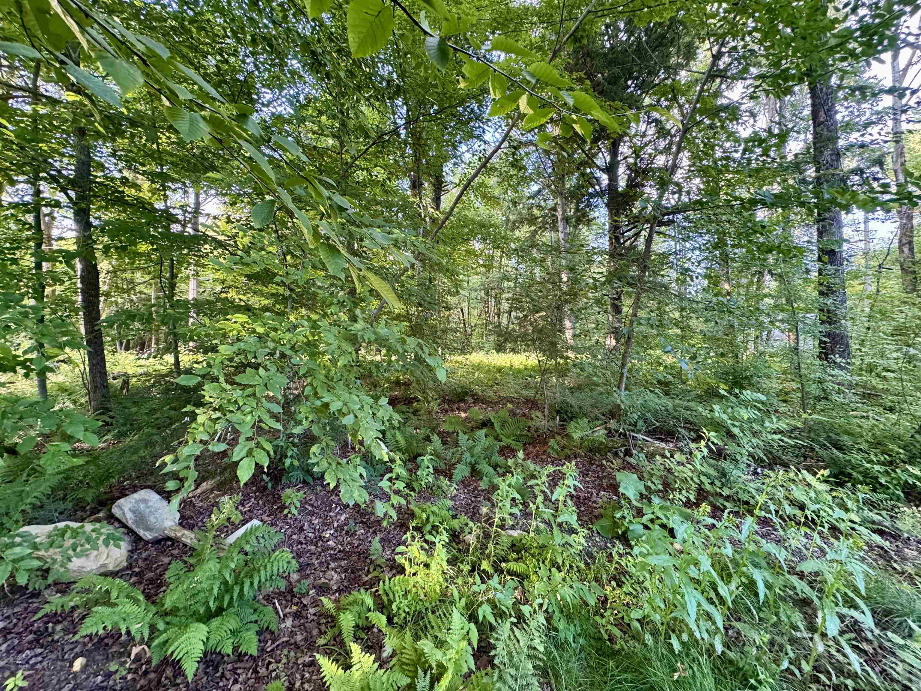 145 Shore Road Franklin, VT 05457 - Photo 44 of 48 Gallery Image 44
