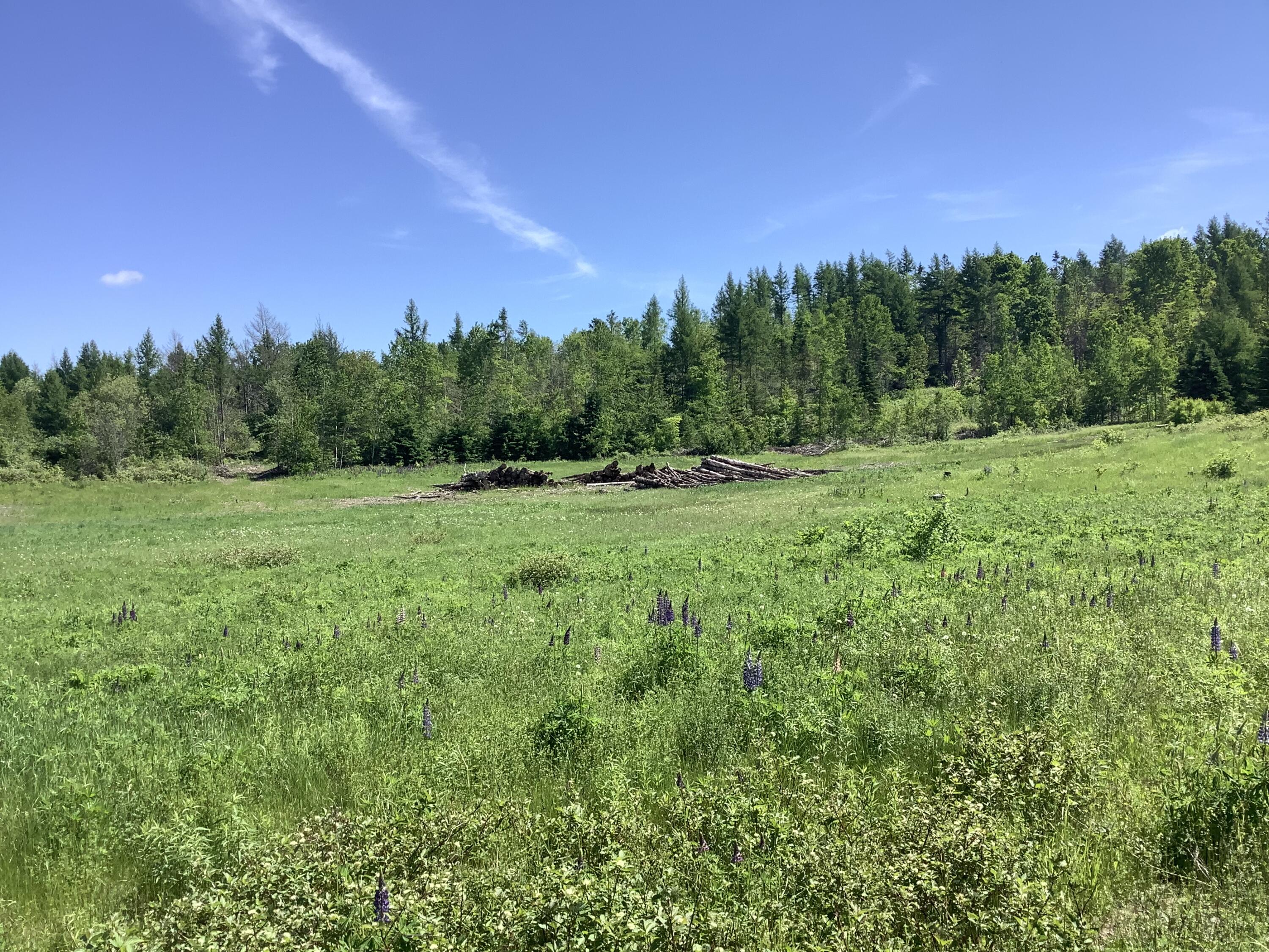 0 West Ridge Road Mars Hill, ME 04758 - Photo 13 of 20 345BD4AB-8030-413B-8377-6DE81CC9EBFF